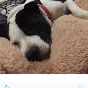 Meet your Posher, Ruby